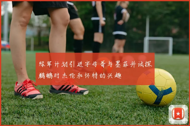 绿军计划引进字母哥与墨菲并试探鹈鹕对杰伦和怀特的兴趣